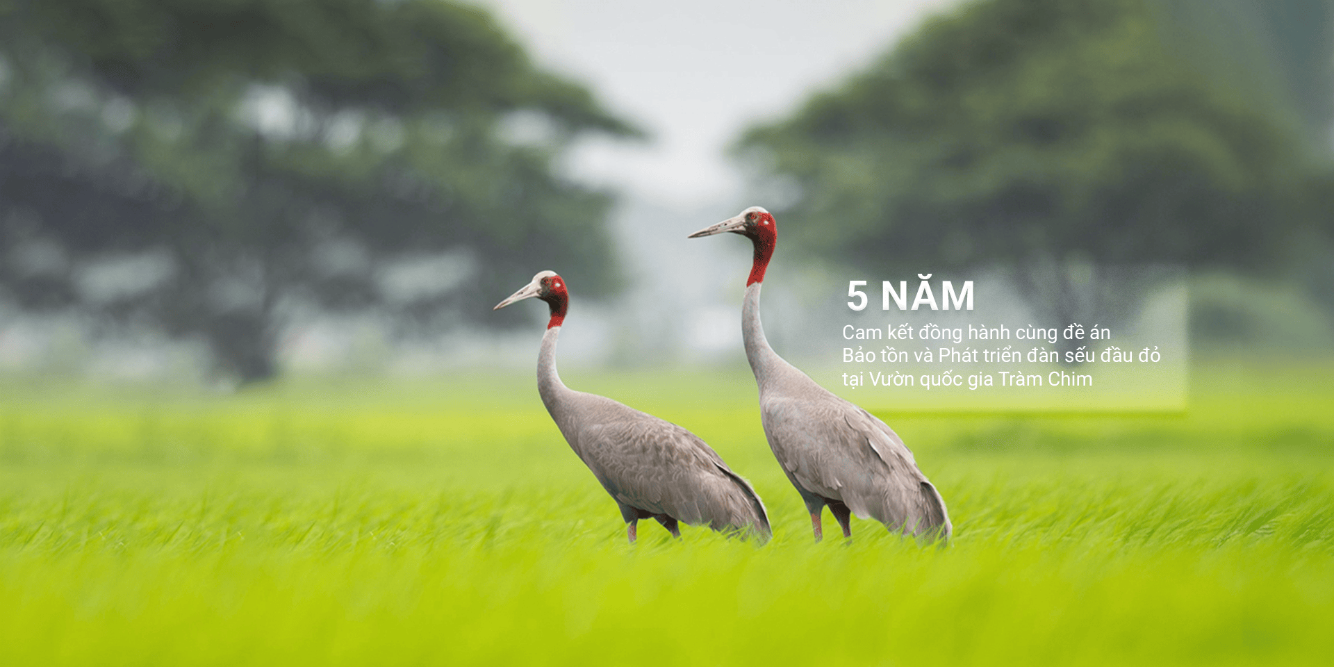 PHÁT TRIỂN BỀN VỮNG