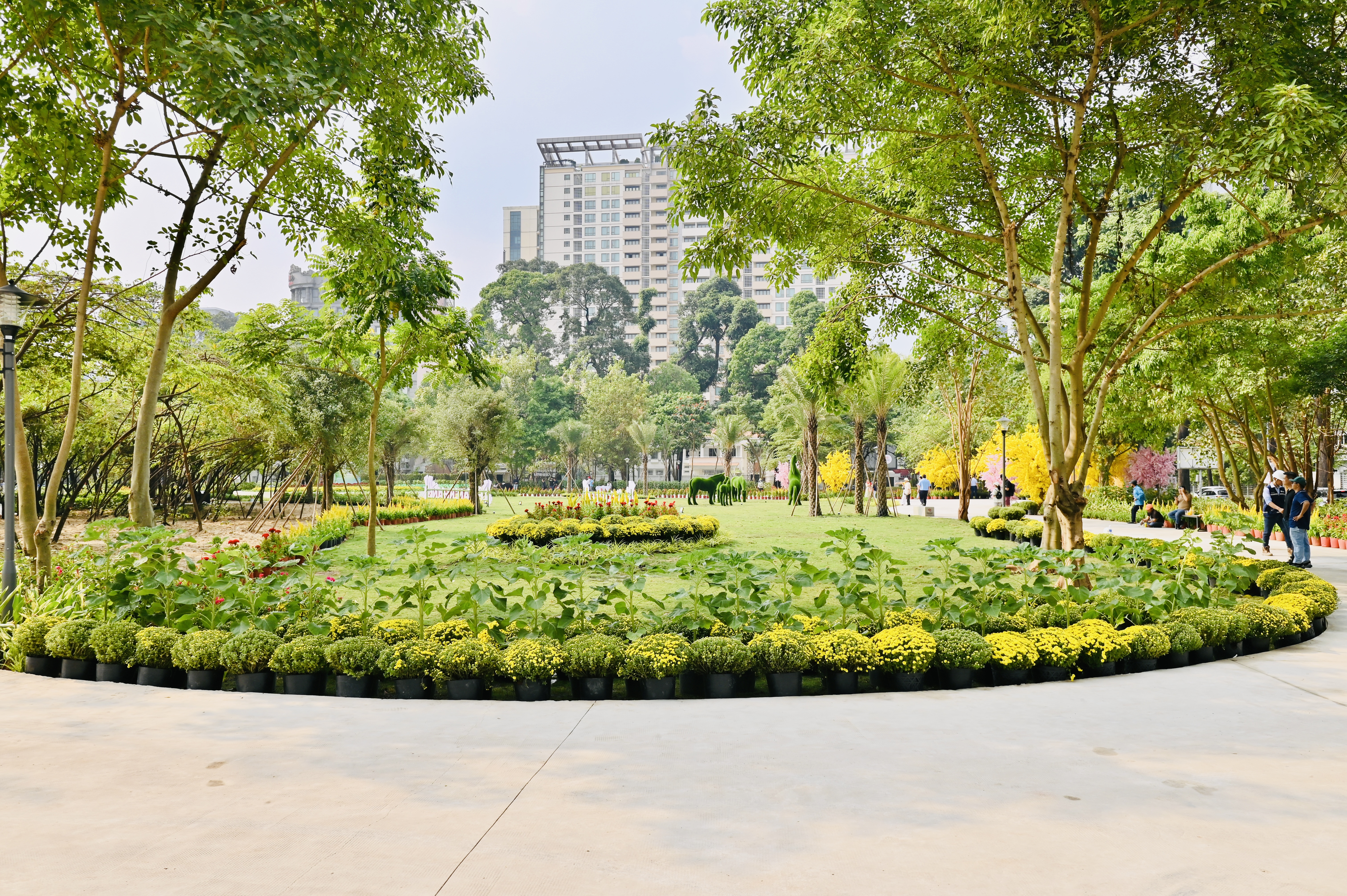 The Landscape Works at Phan Dinh Phung Indoor Stadium