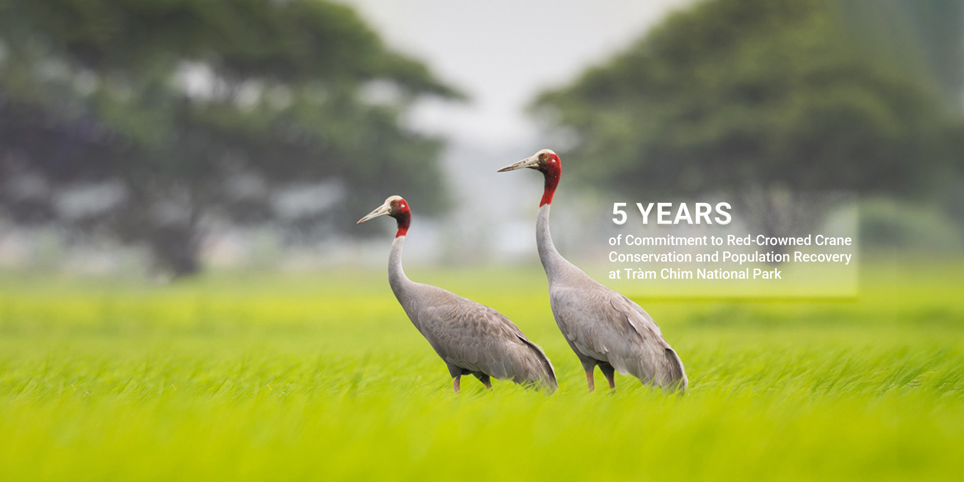 SUSTAINABLE DEVELOPMENT
