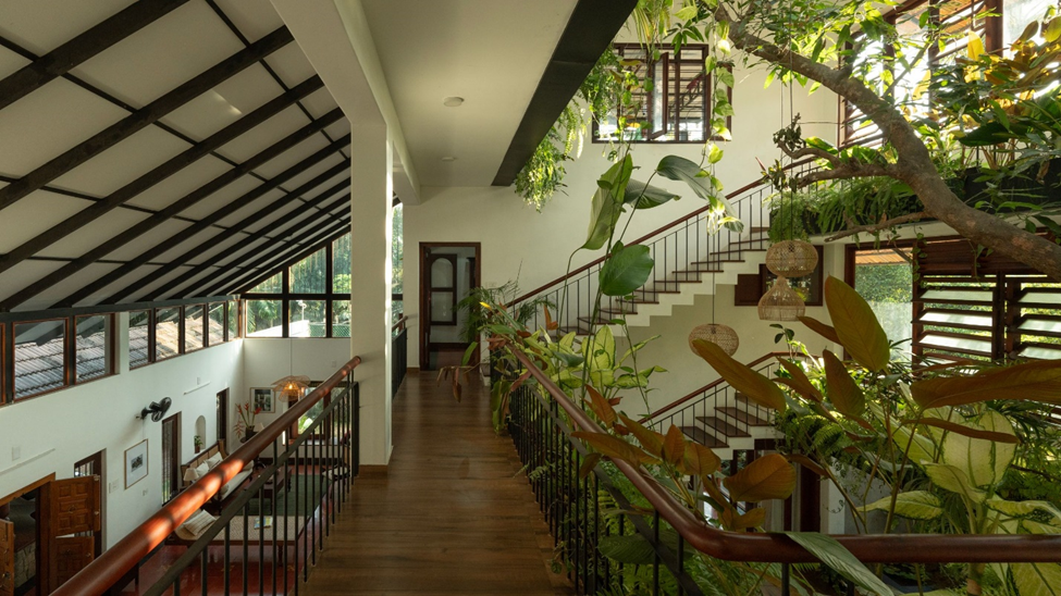 Ngôi nhà xây quanh cây xoài 40 năm tuổi